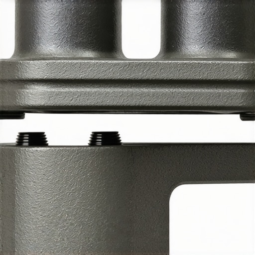 Side-by-side view of a chipped phenolic brake piston and a rusted steel piston highlighting different wear patterns.